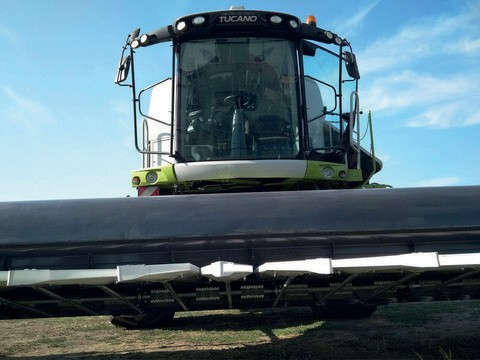 ЖАТКА ДЛЯ УБОРКИ ПОДСОЛНЕЧНИКА «SANFLORО LIGHT» 