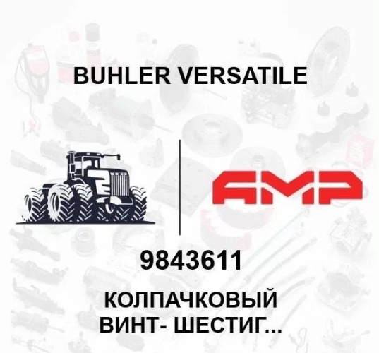 КОЛПАЧКОВЫЙ ВИНТ- ШЕСТИГРАННИК, M16 x 55, Cl-10.9 Пл 9843611