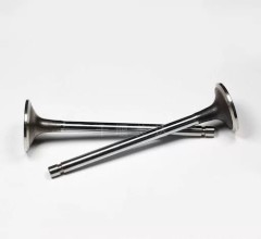 Клапан впускной