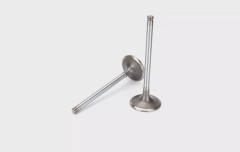 Клапан впускной