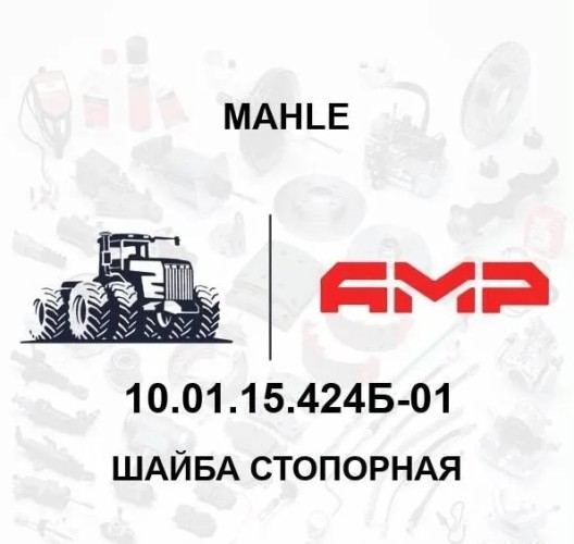 ШАЙБА СТОПОРНАЯ 10.01.15.424Б-01