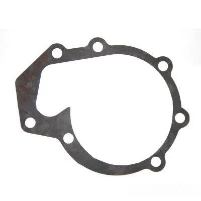 Прокладка водяного насоса C3940386A