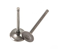 Клапан впускной